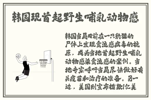 麻花传MD0174董小宛